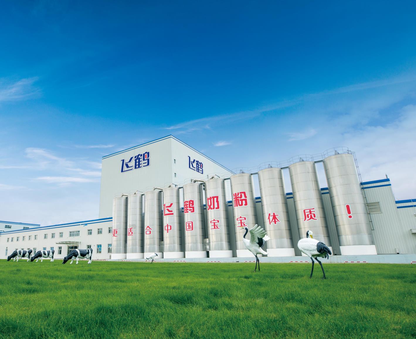 飞鹤乳业招聘官网